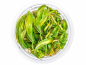 Preview: Japanisches Fadenkraut - Blyxa japonica in vitro